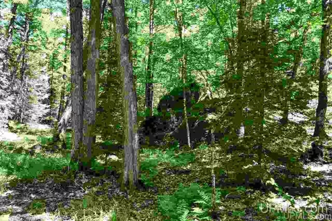 1125 Cooper Lk, Ishpeming, MI 49849 photo 25