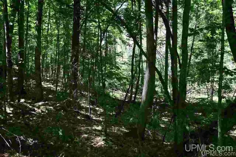 1125 Cooper Lk, Ishpeming, MI 49849 photo 3