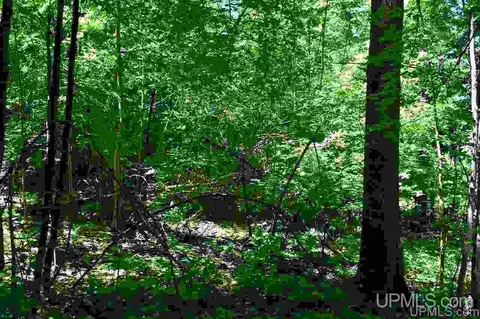 1125 Cooper Lk, Ishpeming, MI 49849 photo 2