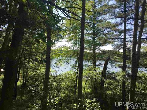 tbd W Spring Lk, Iron Mountain, MI 49801