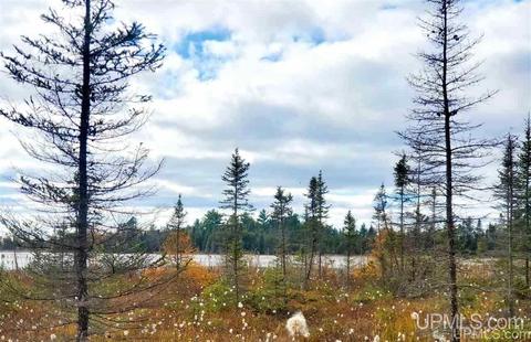 515 S Rice Lk, Gwinn, MI 49841