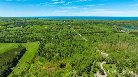 13827 E Jackola, Stanton, MI 49905 photo 7