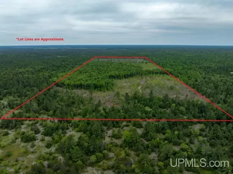tbd Off Co Rd 450, Seney, MI 49883