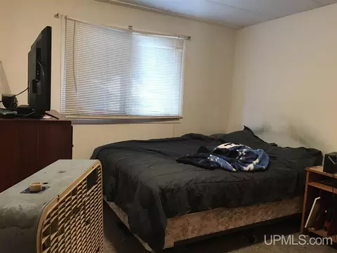 120 E Broad, L'anse, MI 49946 photo 40