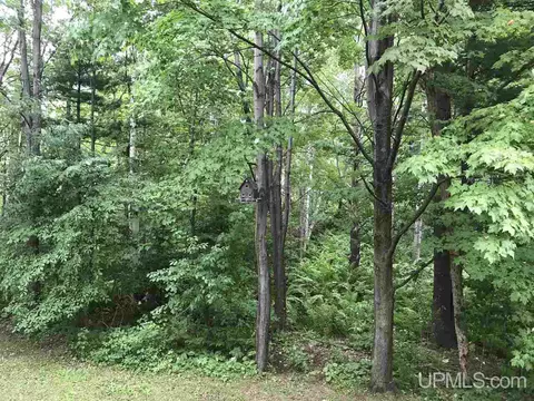 3115 Wright, Marquette, MI 49855 photo 14