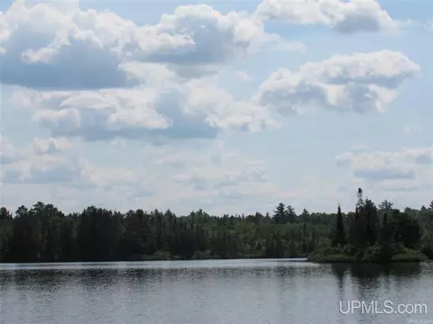 tbd Off Berry, Michigamme, MI 49861