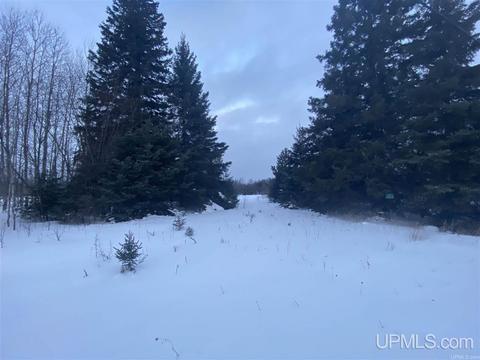 tbd 83 Us41, L'anse, MI 49946 photo 5