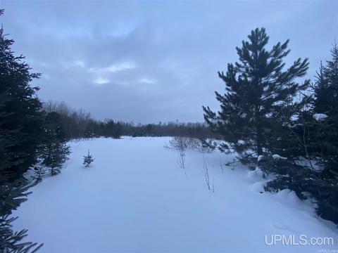 tbd 83 Us41, L'anse, MI 49946 photo 3