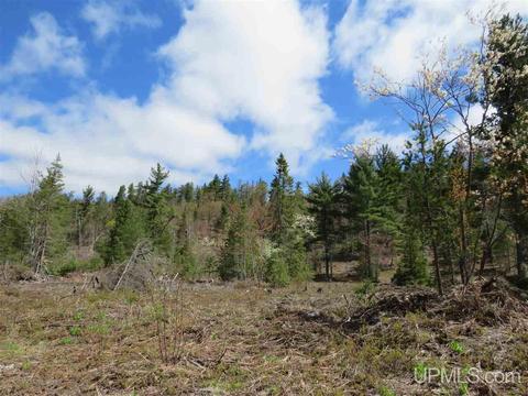 Tbd Off The Boise Route, Ishpeming, MI 49849 photo 26