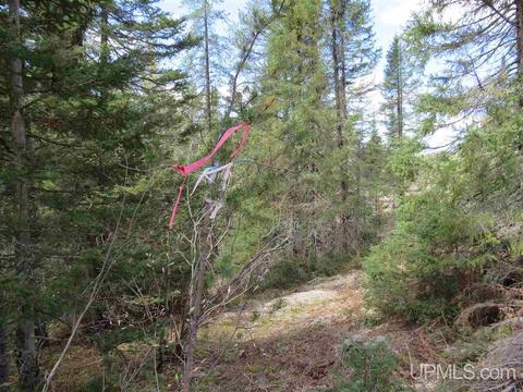 Tbd Off The Boise Route, Ishpeming, MI 49849 photo 9