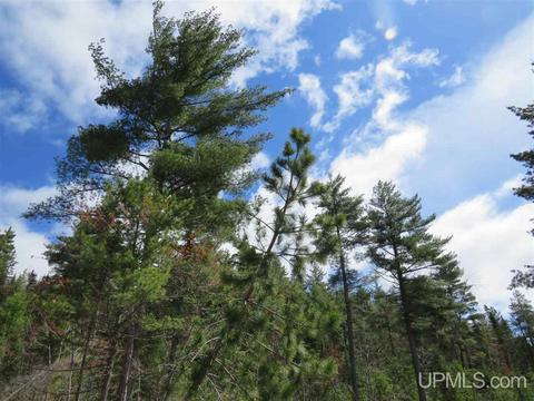 Tbd Off The Boise Route, Ishpeming, MI 49849 photo 37