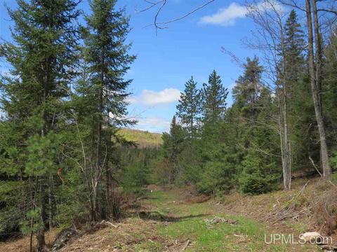 Tbd Off The Boise Route, Ishpeming, MI 49849 photo 6