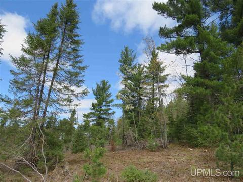 Tbd Off The Boise Route, Ishpeming, MI 49849 photo 17