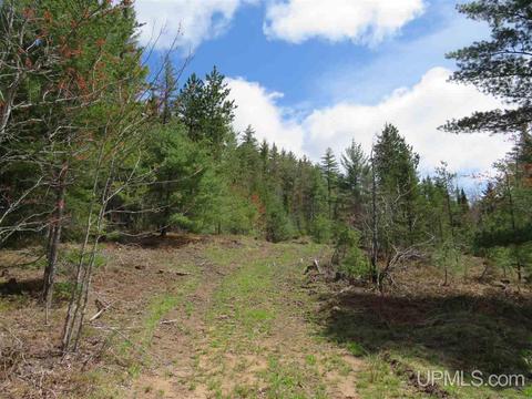 Tbd Off The Boise Route, Ishpeming, MI 49849