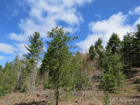 Tbd Off The Boise Route, Ishpeming, MI 49849 photo 35