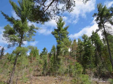 Tbd Off The Boise Route, Ishpeming, MI 49849 photo 38