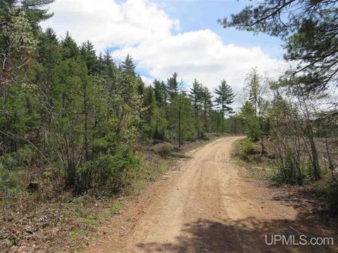Tbd Off The Boise Route, Ishpeming, MI 49849 photo 31