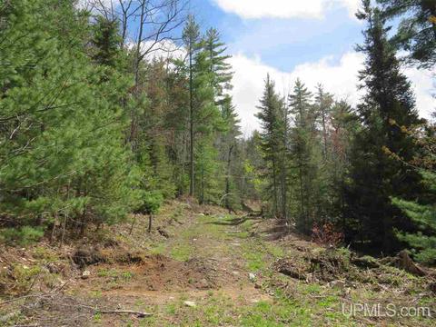 Tbd Off The Boise Route, Ishpeming, MI 49849 photo 3