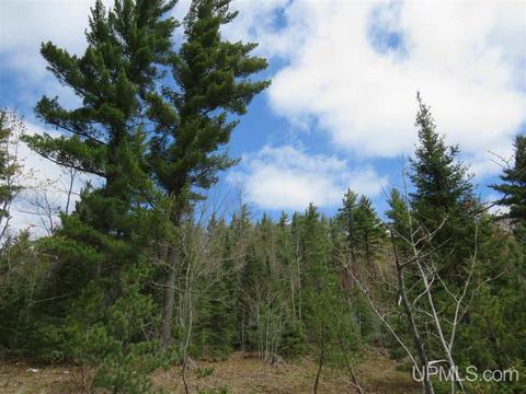 Tbd Off The Boise Route, Ishpeming, MI 49849 photo 16