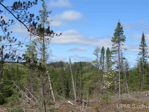 Tbd Off The Boise Route, Ishpeming, MI 49849 photo 36
