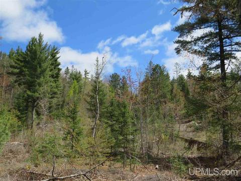 Tbd Off The Boise Route, Ishpeming, MI 49849 photo 12