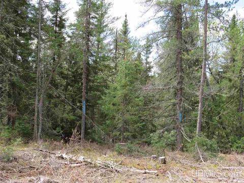 Tbd Off The Boise Route, Ishpeming, MI 49849 photo 18