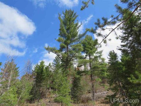 Tbd Off The Boise Route, Ishpeming, MI 49849 photo 32