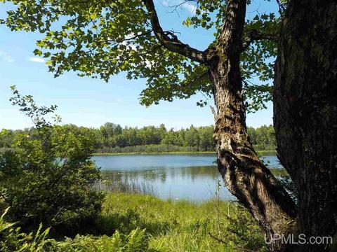 2 43 Ac Maggie Lks #28E, Crystal Falls, MI 49920