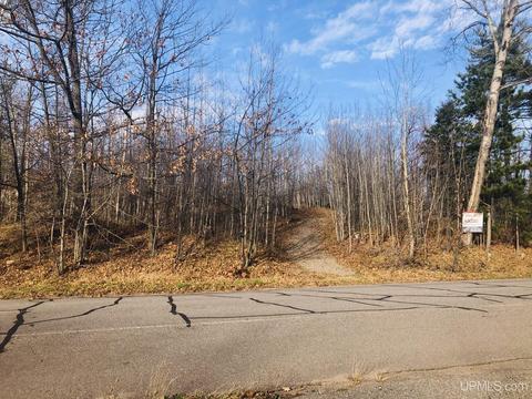 250 Northwoods, Marquette, MI 49855