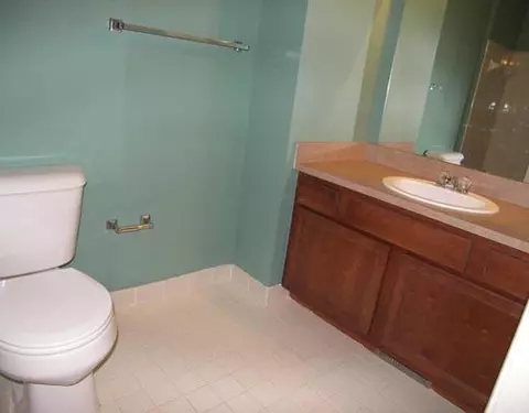 224 Commons, Saline, MI 48176 photo 9