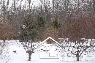2103 Wells, Dundee, MI 48131 photo 19