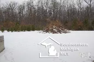 2103 Wells, Dundee, MI 48131 photo 10