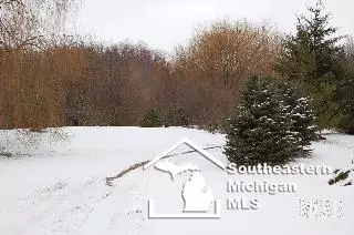 2103 Wells, Dundee, MI 48131 photo 20