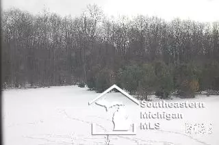 2103 Wells, Dundee, MI 48131 photo 8
