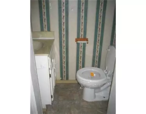 341 E Brks, Howell, MI 48843 photo 7