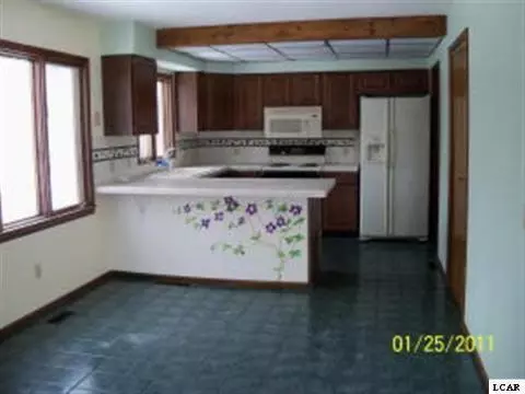 208 Burt, Tecumseh, MI 49286 photo 2