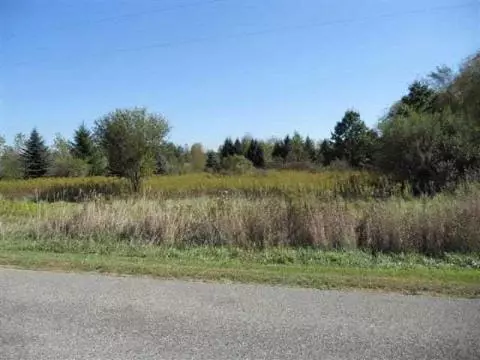 7015 Jones, Rives Junction, MI 49201 photo 3