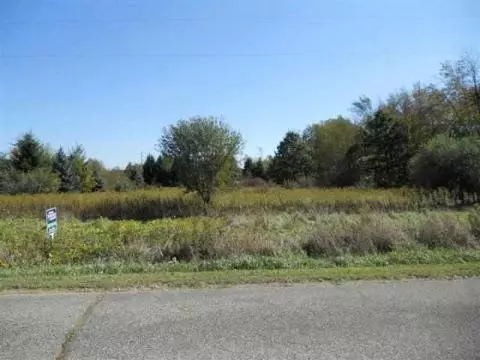 7015 Jones, Rives Junction, MI 49201 photo 2