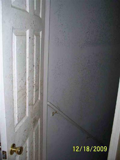 9321 Tiger Run Trl, Other, MI 48423 photo 2
