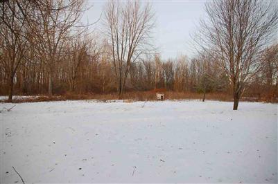 10232 W Frances, Flushing, MI 48433 photo 3