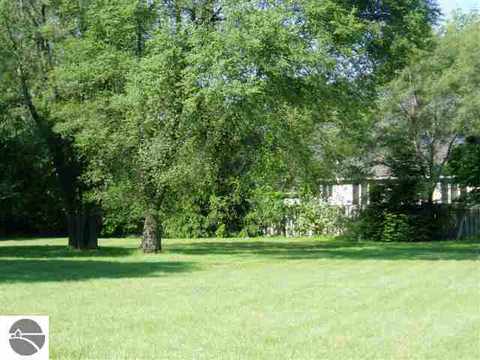 3 Patrick, Mount Pleasant, MI 48858 photo 2