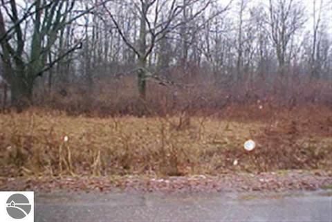 N/A Main #PARCEL D, Au Gres, MI 48703