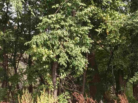n/a point augres LOT 60, Au Gres, MI 48703 photo 2