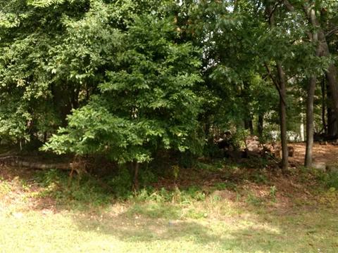 n/a point augres LOT 60, Au Gres, MI 48703