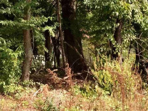 n/a point augres LOT 60, Au Gres, MI 48703 photo 3