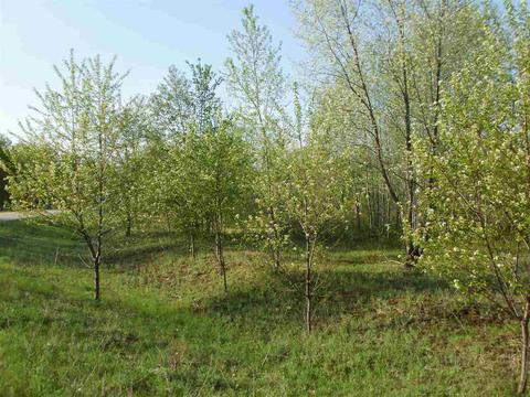 sweetwater LOT : 25, Cadillac, MI 49601