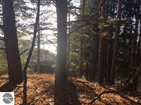 0 Bluewater, Beulah, MI 49617