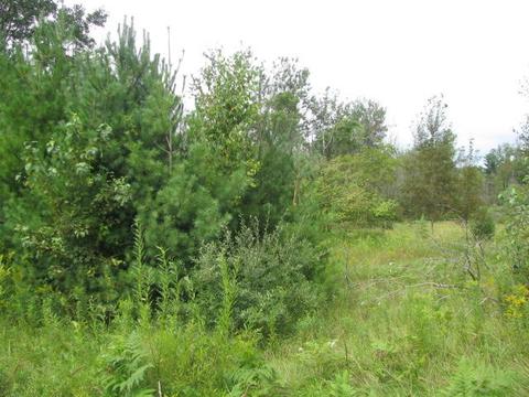 0 M-55 #HEMLOCK ROAD, Tawas City, MI 48763
