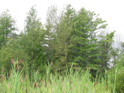 0 M-55 #67&68 : 67&68, Tawas City, MI 48763