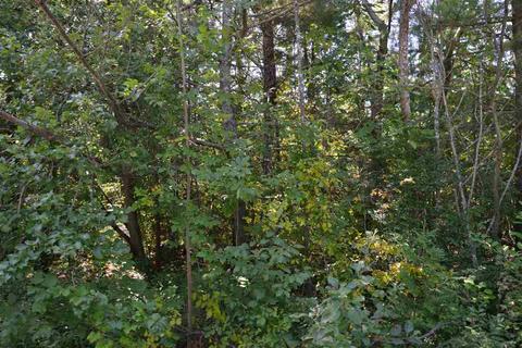 00 W Third, Elk Rapids, MI 49629 photo 6